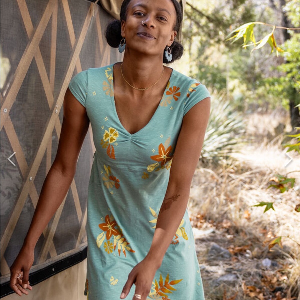 Toad & co Amelia dress